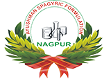 logo-1